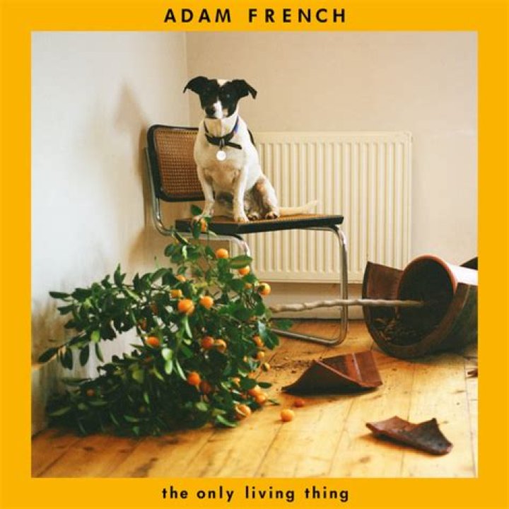 Adam French Releases Live Version Of 'The Only Living Thing'