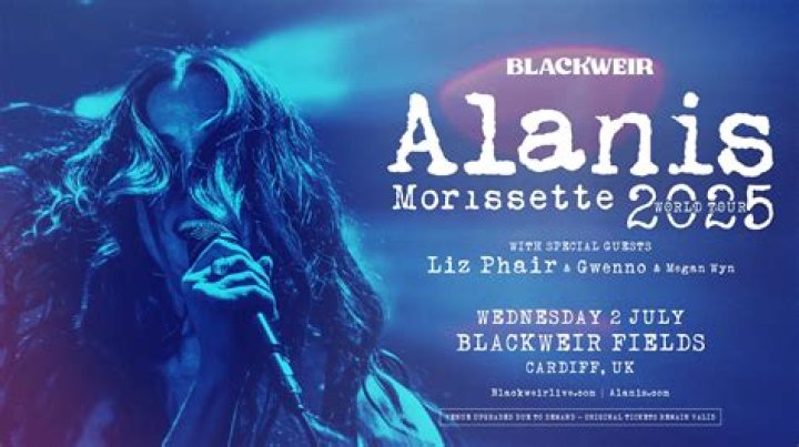 Alanis Morissette Fortune