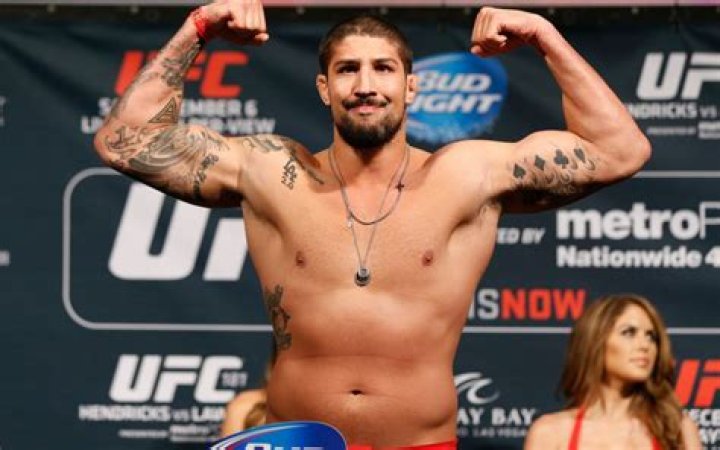 Who is Brendan Schaub? Wiki, Age, Height, Net Worth, Girlfriend, Dating