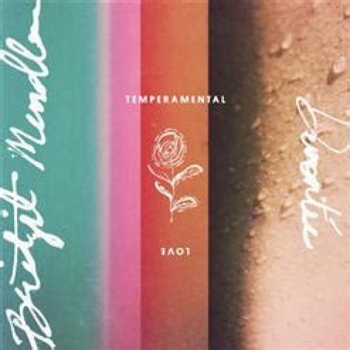 Bridgit Mendler Drops Music Video For 