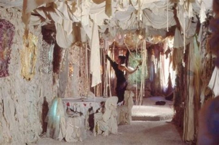 Fame | Colette Justine net worth and salary income estimation Jan, 2024