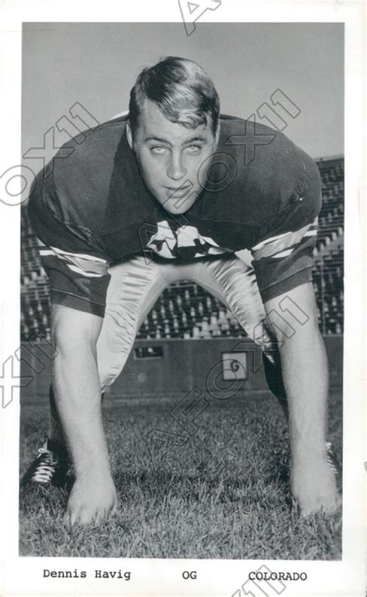 Fame | Dennis Havig net worth and salary income estimation Apr, 2024