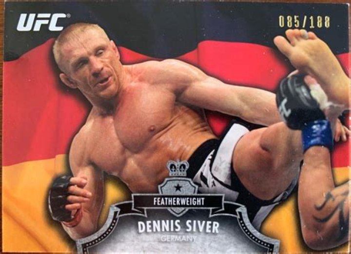 Dennis Siver Fortune