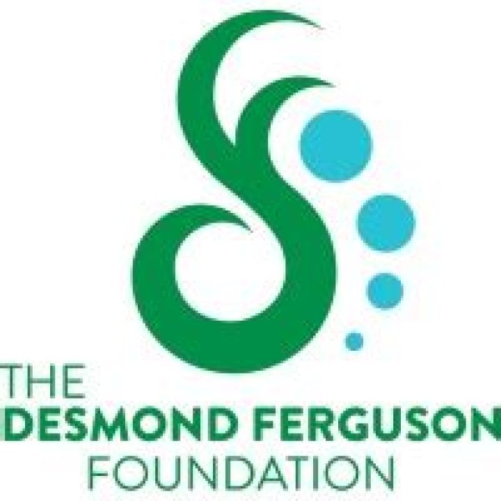 Fame | Desmond Ferguson net worth and salary income estimation Jan, 2024