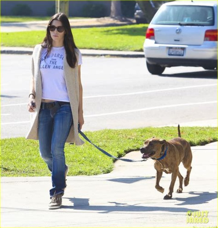 Jessica Biel walking her dog in Brentwood (10/24/07)