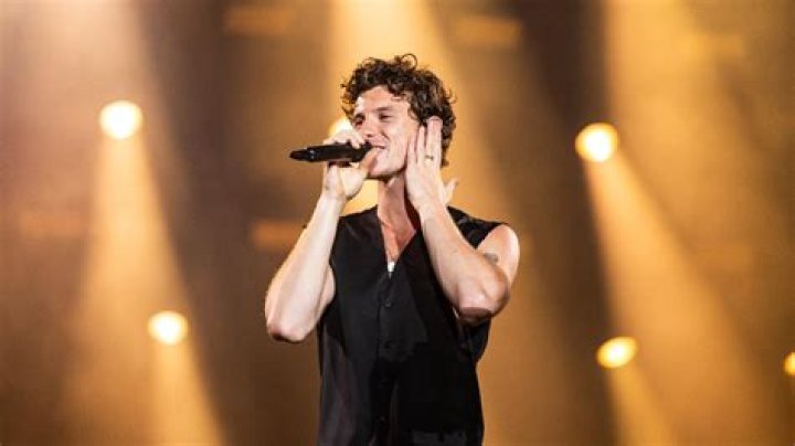 Max and Harvey Release Shawn Mendes Mash-Up