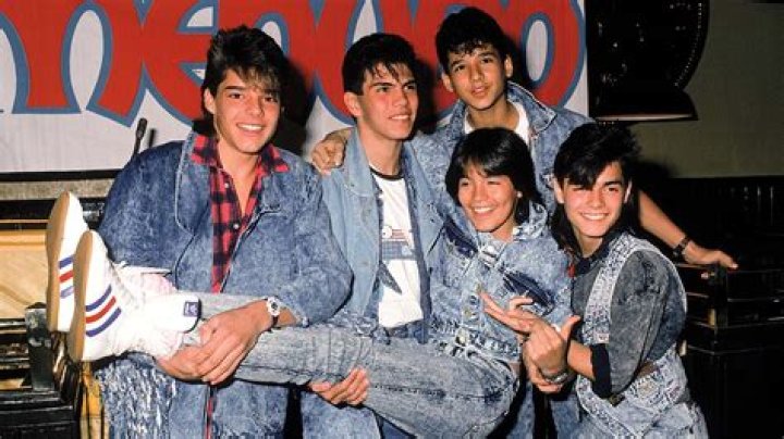 Fame | Menudo (group) net worth and salary income estimation Apr, 2024