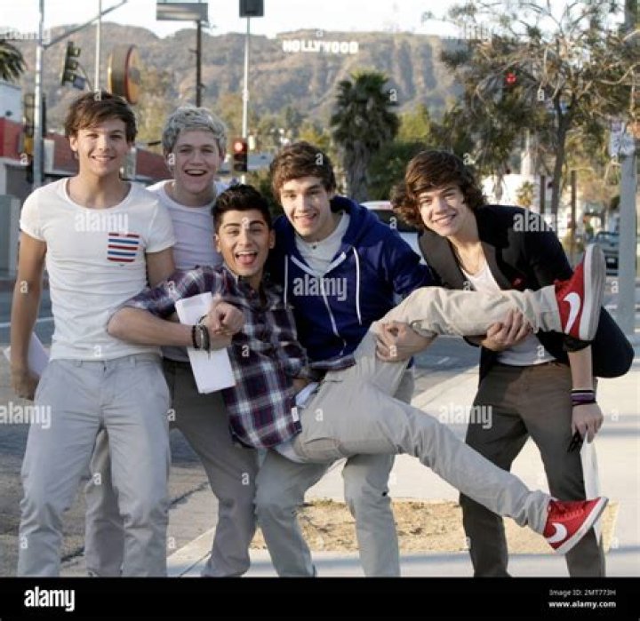 One Direction Fans and #ProjectHome