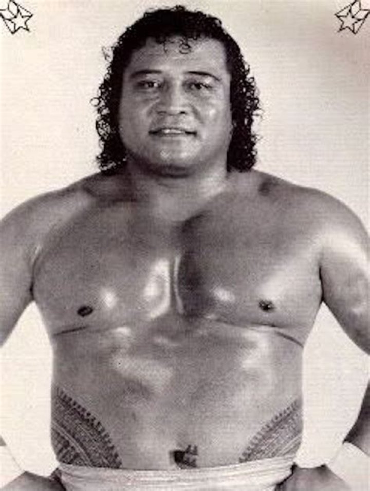 Peter Maivia Net Worth, Age, Height, Bio, Birthday, Wiki!