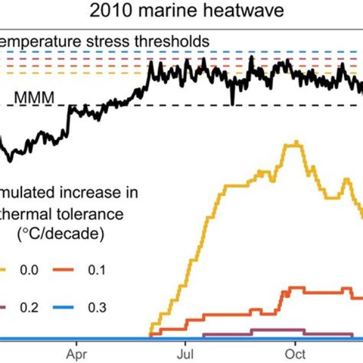 Peter Mumby Net Worth 2024, Age, Height, Bio, Birthday, Wiki!