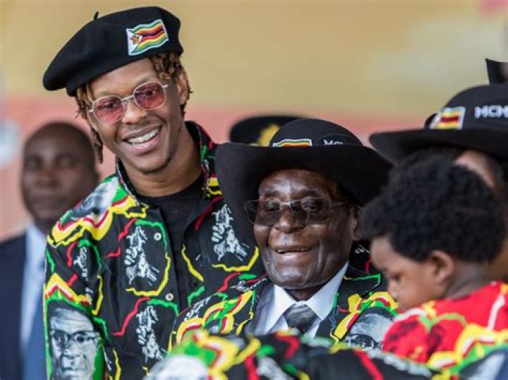 Fame | Robert Mugabe Jr net worth and salary income estimation Apr, 2024