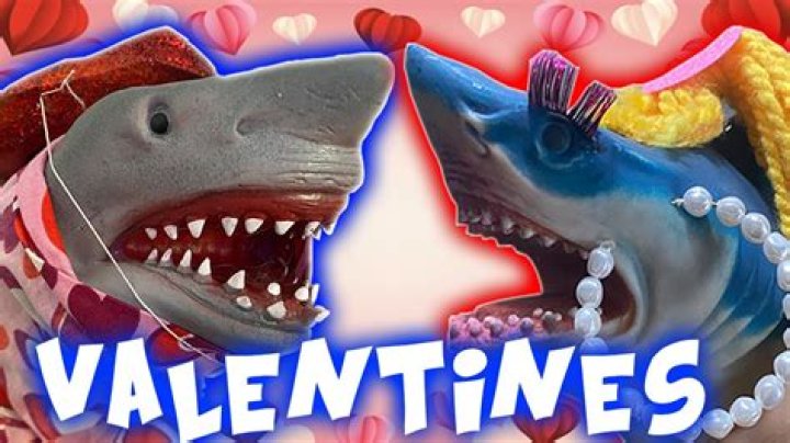 Shark Puppet’s Girlfriend: Who is Shark Puppet Dating?
