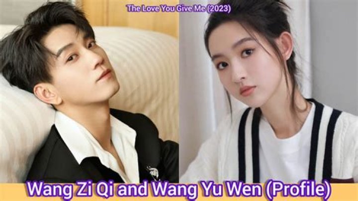 Wen Zhang’s Girlfriend: Who is Wen Zhang Dating?
