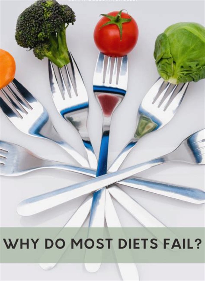 The Four Serious Reason Why Most Your Diets Fail!